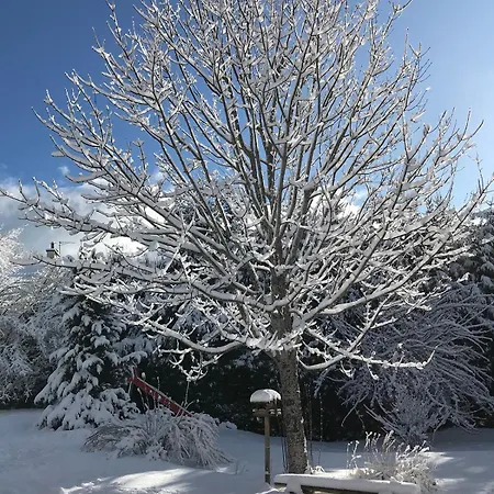 Le Tintinnabule Villard-de-Lans