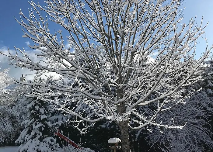 Le Tintinnabule Villard-de-Lans